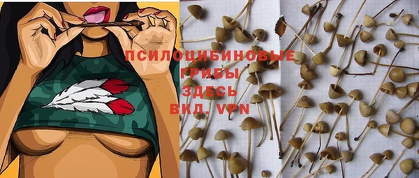 амф Алексеевка