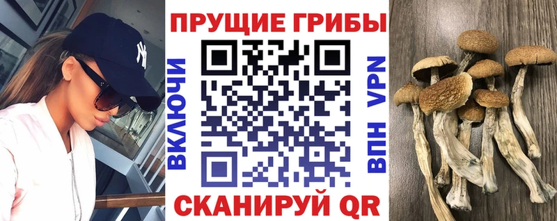 Псилоцибиновые грибы мухоморы omg ССЫЛКА Томмот